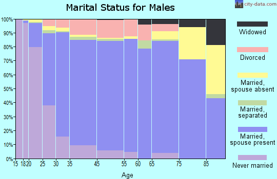 Round Rock marital status for males