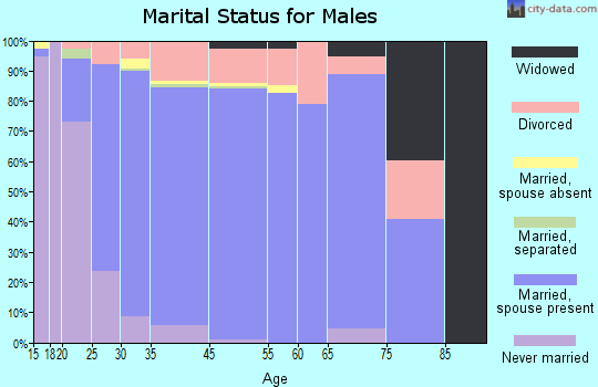 Saginaw marital status for males