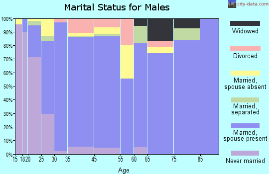 San Elizario marital status for males