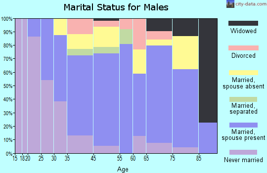 Schulenburg marital status for males