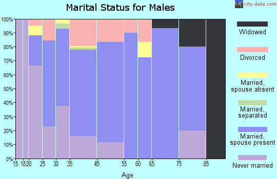 Shady Shores marital status for males