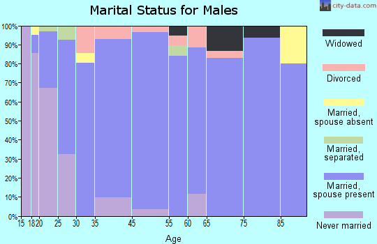 Shallowater marital status for males