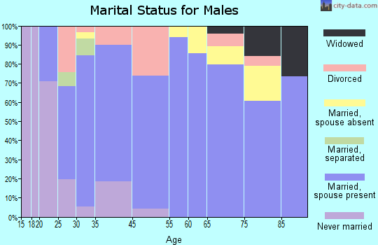 Shamrock marital status for males