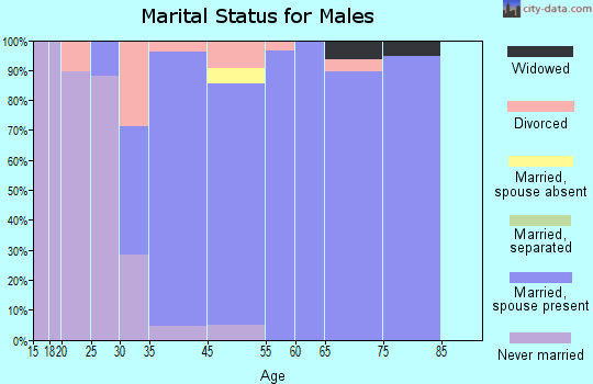 Shavano Park marital status for males