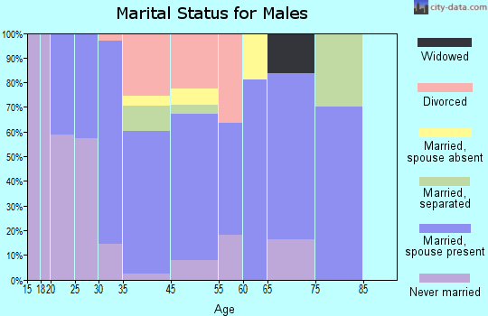 Sheldon marital status for males