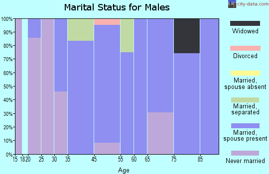 Siesta Shores marital status for males
