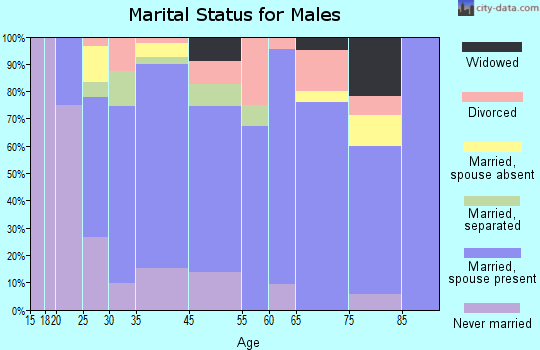 Smithville marital status for males