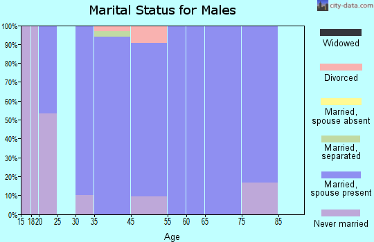 Smyer marital status for males