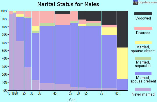Snyder marital status for males