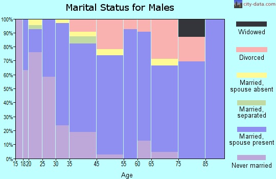 Somerset marital status for males