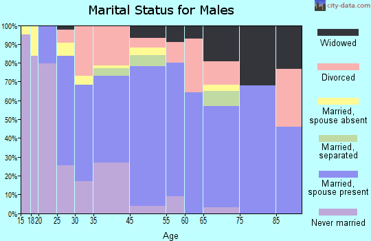 Somerville marital status for males