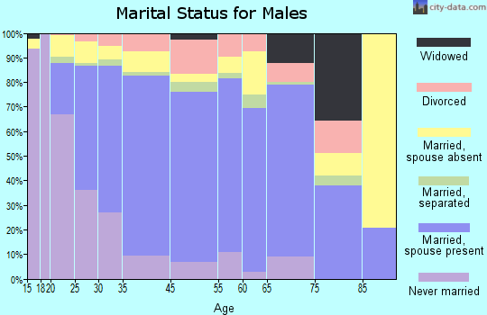 South Houston marital status for males