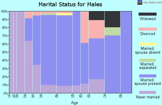 Southside Place marital status for males