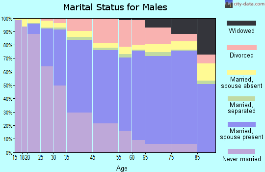 Mountain View marital status for males