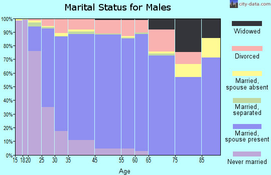 Spring marital status for males
