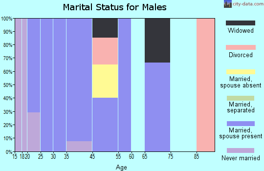 Spring Garden-Terra Verde marital status for males