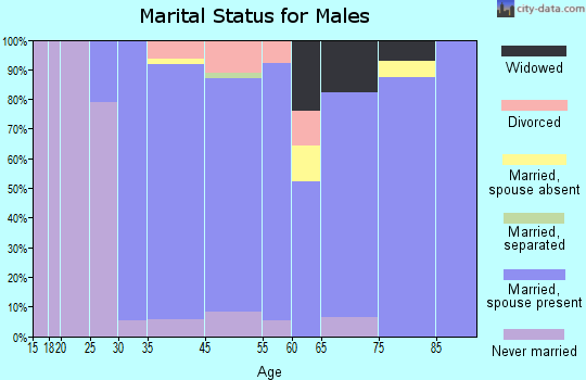 Spring Valley marital status for males
