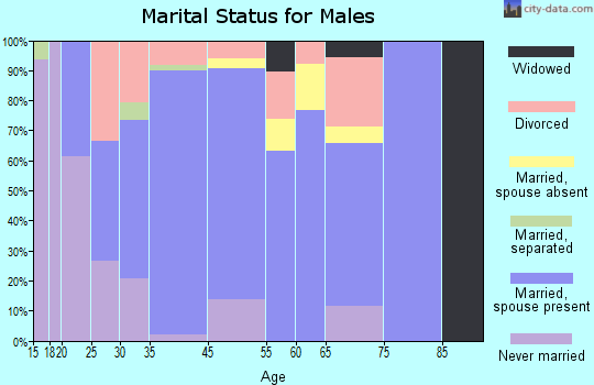 Sterling City marital status for males