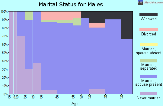Sudan marital status for males
