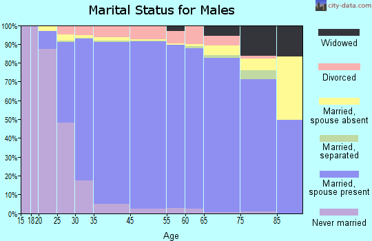 Sugar Land marital status for males