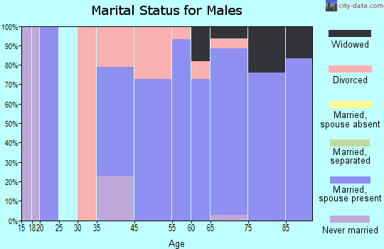 Sunrise Beach Village marital status for males