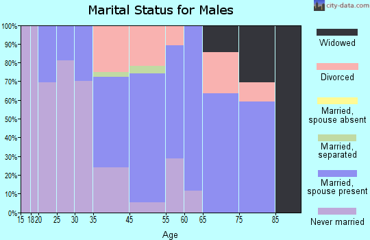Mount Shasta marital status for males
