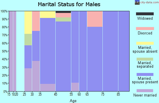 Sunset Valley marital status for males