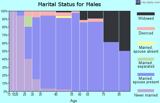 Taylor Lake Village marital status for males