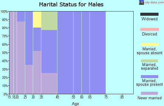 Tierra Grande marital status for males