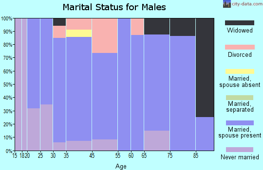 Valley Mills marital status for males