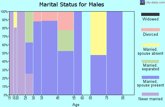 Villa Verde marital status for males