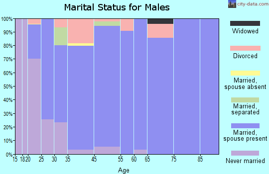 Wake Village marital status for males