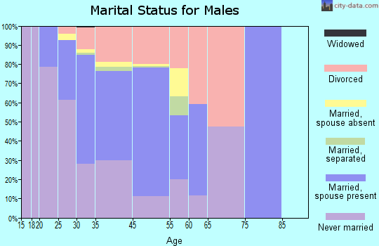 Wells Branch marital status for males
