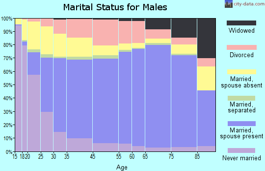 Wichita Falls marital status for males