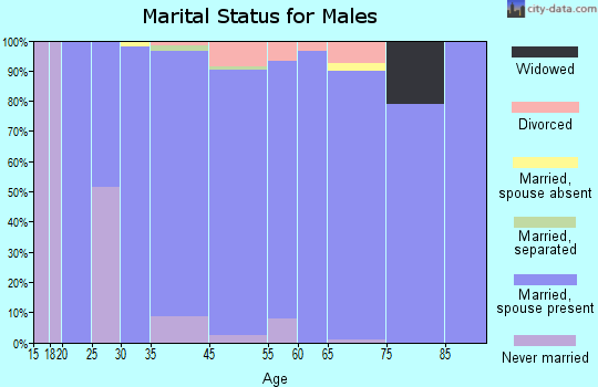 Willow Park marital status for males