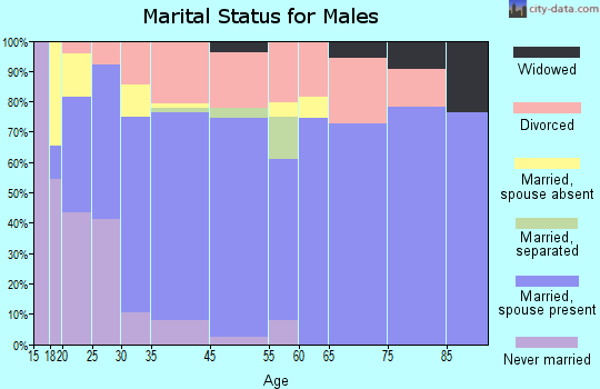 Wills Point marital status for males