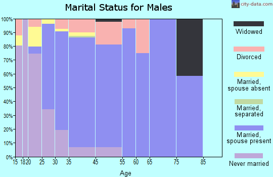 Windemere marital status for males
