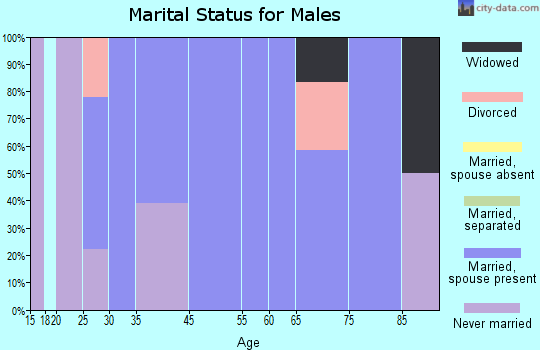 Windom marital status for males