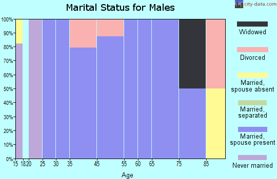 Wixon Valley marital status for males