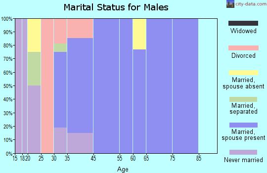 Woodloch marital status for males
