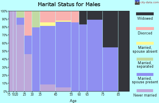 Wyldwood marital status for males