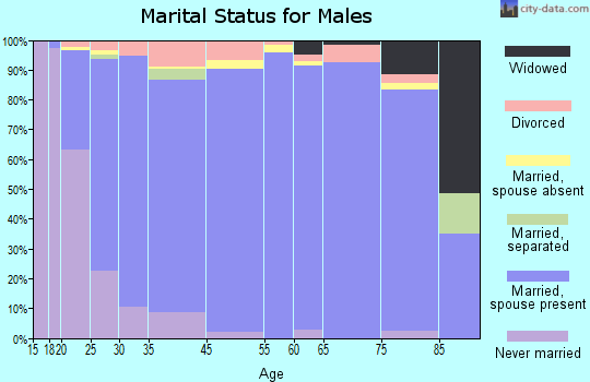 American Fork marital status for males