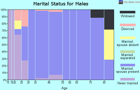 Bear River City marital status for males