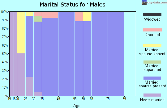 Bluffdale marital status for males