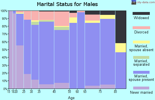 Brigham City marital status for males