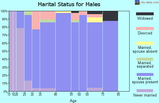 Castle Dale marital status for males