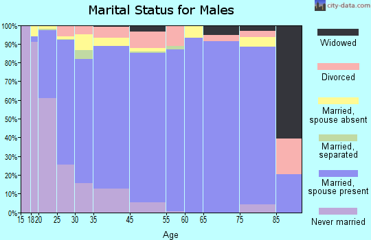 Cedar City marital status for males
