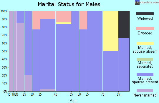 Clarkston marital status for males