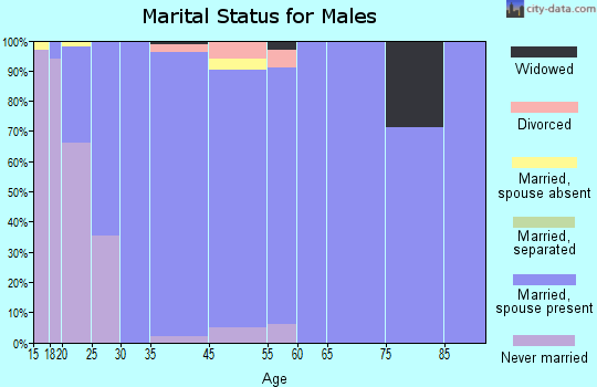 Elk Ridge marital status for males