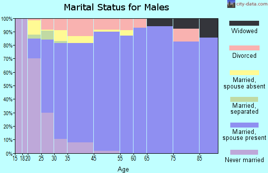 Farmington marital status for males